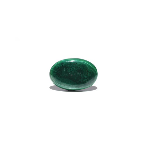 Malachite (Kidney Stone) - 35.3 Carat - Pramogh
