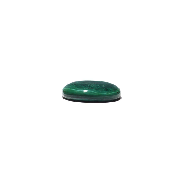 Malachite (Kidney Stone) - 35.3 Carat