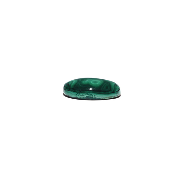 Malachite (Kidney Stone) - 28.1 Carat