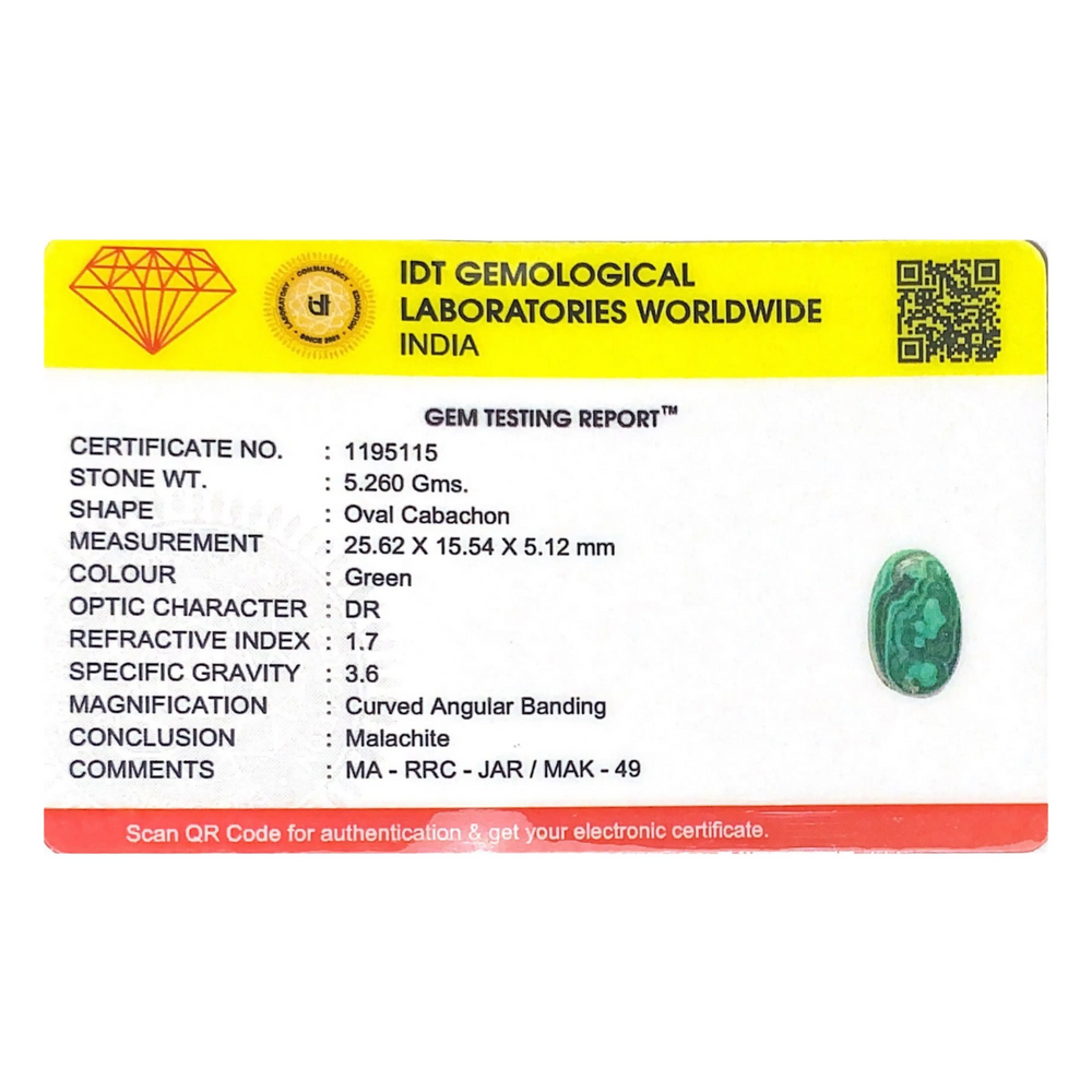 Malachite (Kidney Stone) - 26.3 Carat