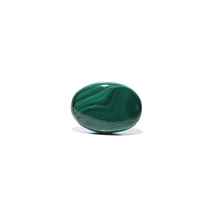 Malachite (Kidney Stone) - 43 Carat - Pramogh
