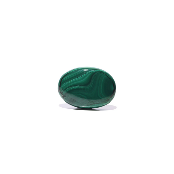 Malachite (Kidney Stone) - 43 Carat - Pramogh