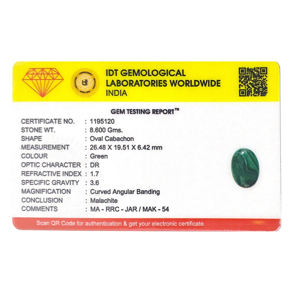 Malachite (Kidney Stone) - 43 Carat