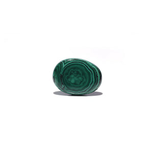 Malachite (Kidney Stone) - 26.7 Carat - Pramogh