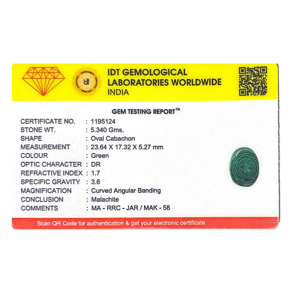 Malachite (Kidney Stone) - 26.7 Carat