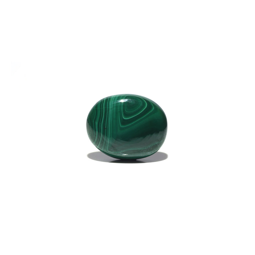 Malachite (Kidney Stone) - 45.8 Carat - Pramogh