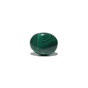 Malachite (Kidney Stone) - 45.8 Carat - Pramogh