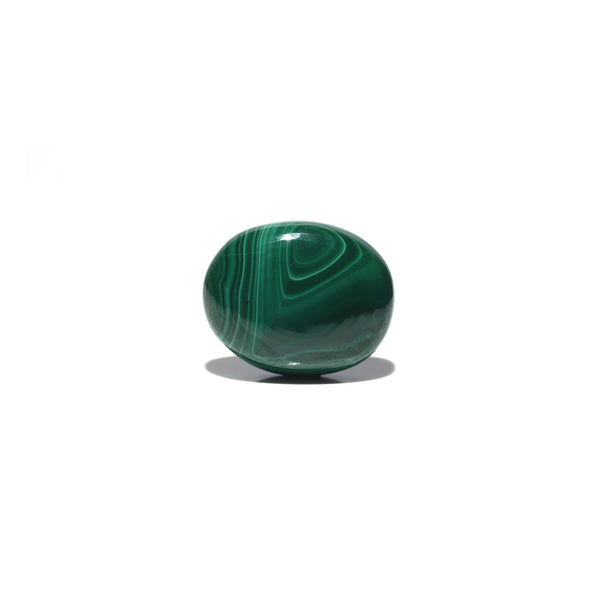 Malachite (Kidney Stone) - 45.8 Carat - Pramogh