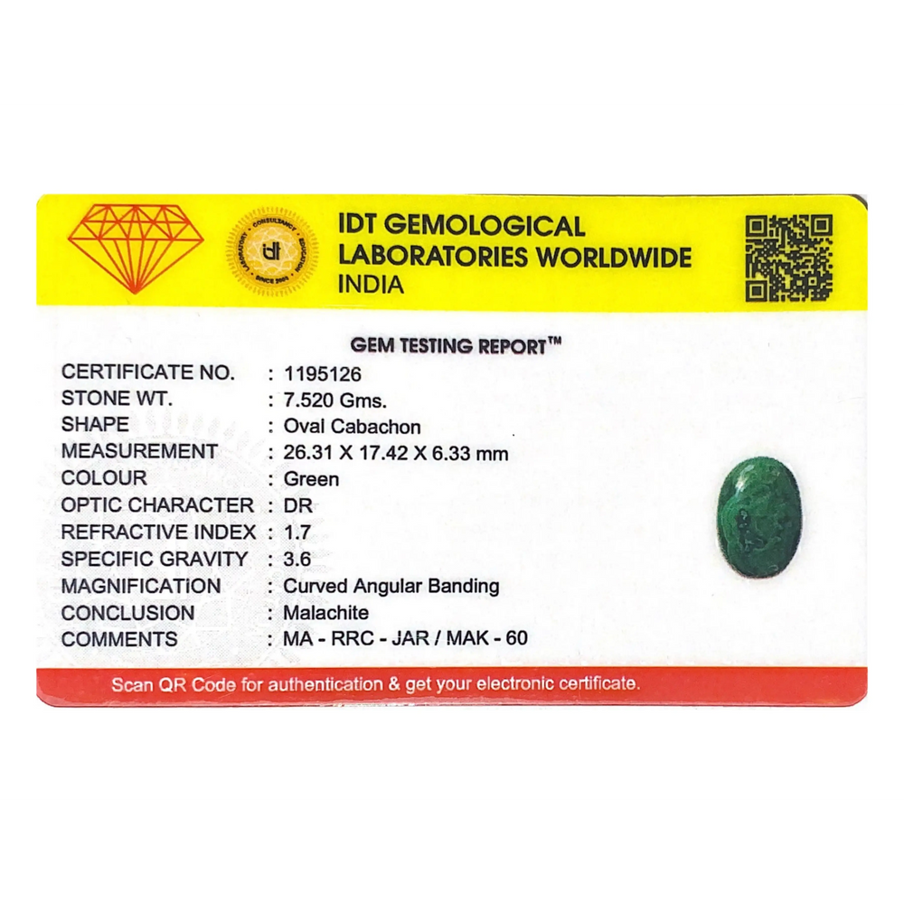 Malachite (Kidney Stone) - 37.6 Carat