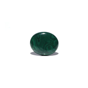 Malachite (Kidney Stone) - 38.25 Carat - Pramogh