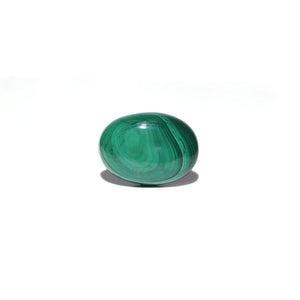 Malachite (Kidney Stone) - 34.9 Carat - Pramogh