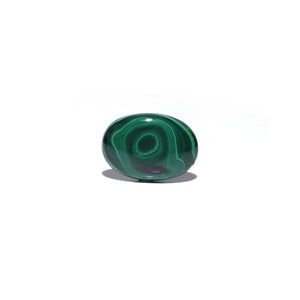 Malachite (Kidney Stone) - 38.7 Carat - Pramogh