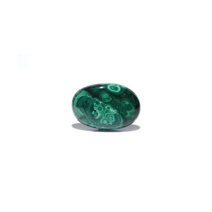 Malachite (Kidney Stone) - 41.4 Carat - Pramogh