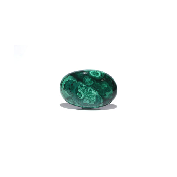 Malachite (Kidney Stone) - 41.4 Carat - Pramogh