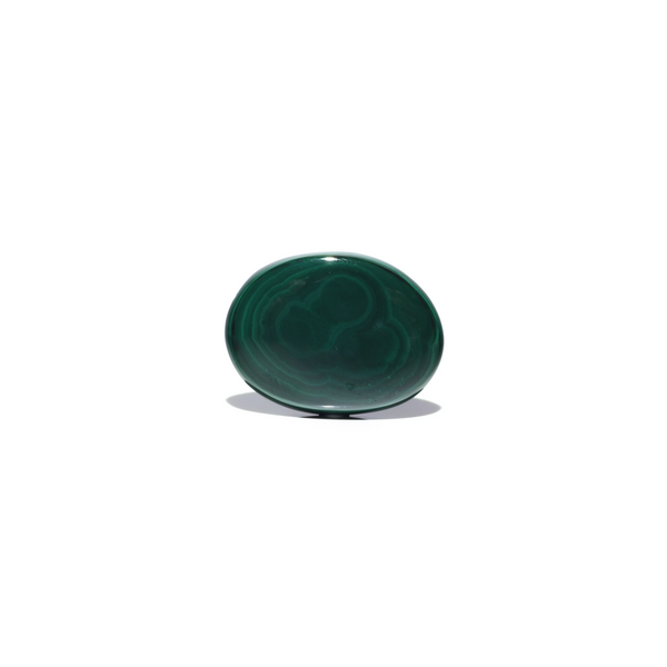Malachite (Kidney Stone) - 46.4 Carat - Pramogh