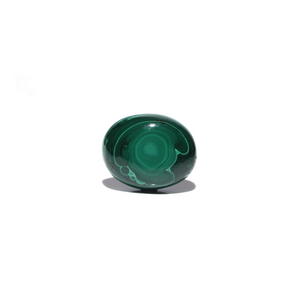 Malachite (Kidney Stone) - 65.4 Carat - Pramogh