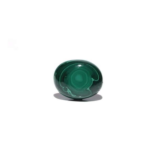 Malachite (Kidney Stone) - 65.4 Carat - Pramogh