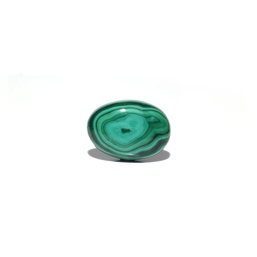 Malachite (Kidney Stone) - 33.8 Carat - Pramogh