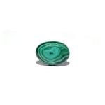 Malachite (Kidney Stone) - 33.8 Carat - Pramogh