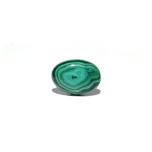 Malachite (Kidney Stone) - 33.8 Carat - Pramogh
