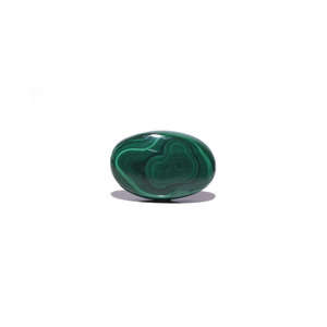 Malachite (Kidney Stone) - 41.6 Carat - Pramogh