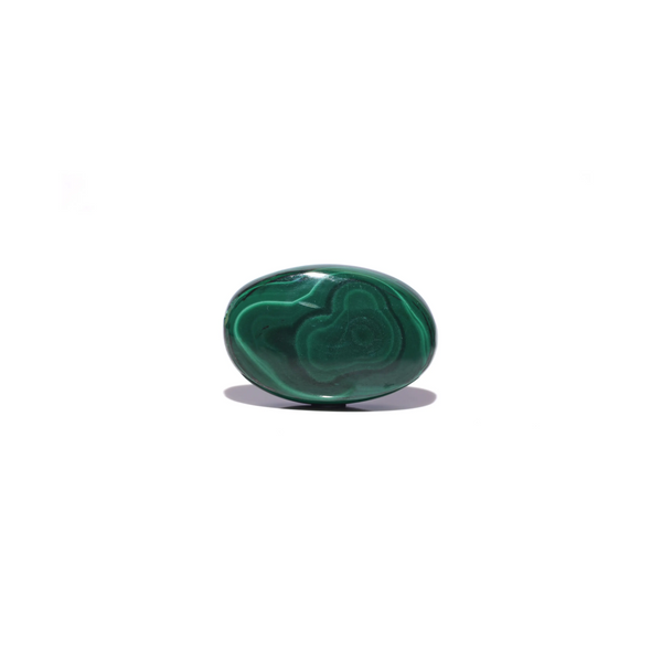 Malachite (Kidney Stone) - 41.6 Carat - Pramogh