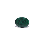 Malachite (Kidney Stone) - 45.2 Carat - Pramogh