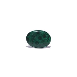 Malachite (Kidney Stone) - 45.2 Carat - Pramogh