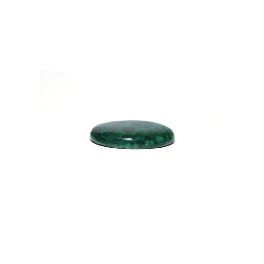 Malachite (Kidney Stone) - 45.2 Carat