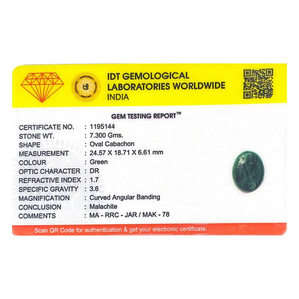 Malachite (Kidney Stone) - 36.5 Carat