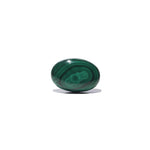Malachite (Kidney Stone) - 44.5 Carat - Pramogh