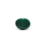 Malachite (Kidney Stone) - 43.6 Carat - Pramogh