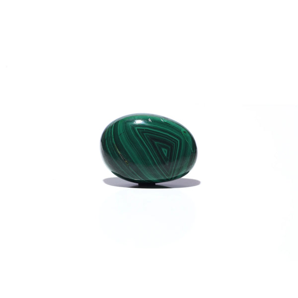 Malachite (Kidney Stone) - 35.2 Carat - Pramogh