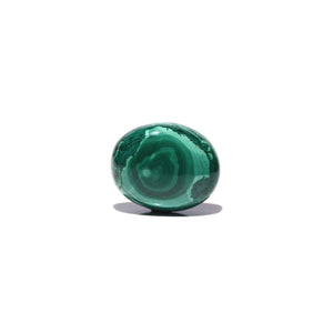 Malachite (Kidney Stone) - 40.4 Carat - Pramogh