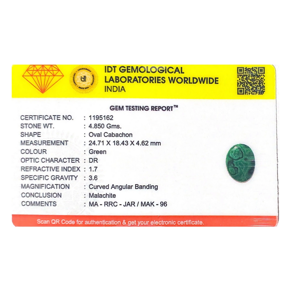 Malachite (Kidney Stone) - 24.25 Carat