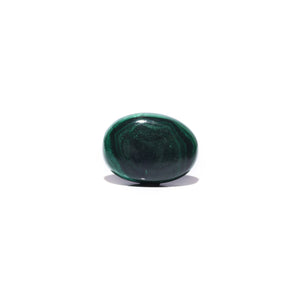 Malachite (Kidney Stone) - 31.2 Carat - Pramogh