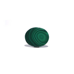 Malachite (Kidney Stone) - 40.45 Carat