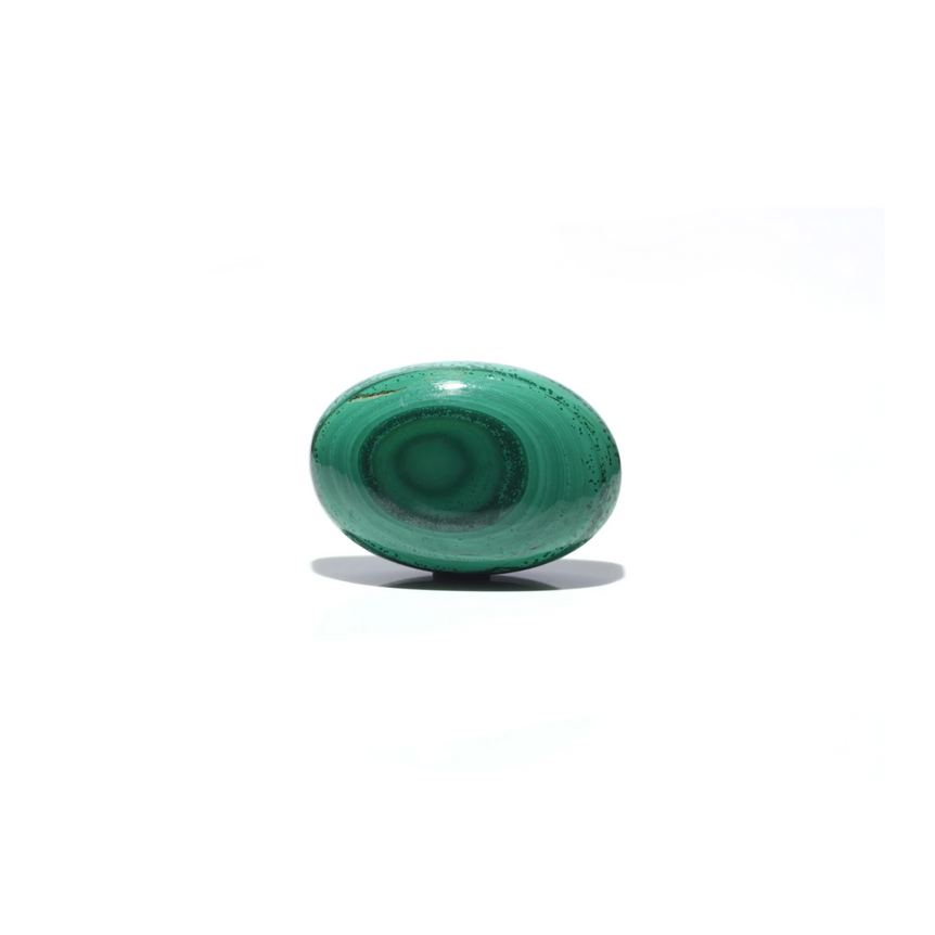 Malachite (Kidney Stone) - 41.4 Carat - Pramogh