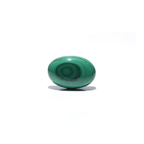 Malachite (Kidney Stone) - 41.4 Carat - Pramogh
