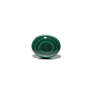 Malachite (Kidney Stone) - 33.85 Carat - Pramogh