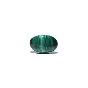 Malachite (Kidney Stone) - 47.3 Carat - Pramogh