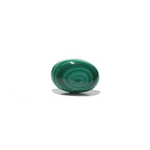 Malachite (Kidney Stone) - 41.3 Carat - Pramogh