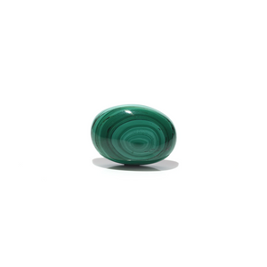 Malachite (Kidney Stone) - 41.3 Carat - Pramogh