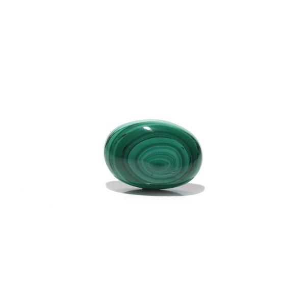 Malachite (Kidney Stone) - 41.3 Carat - Pramogh