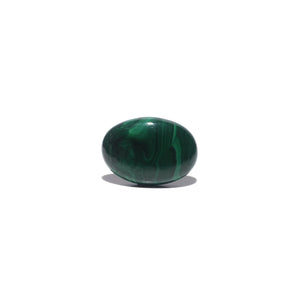 Malachite (Kidney Stone) - 41.1 Carat - Pramogh