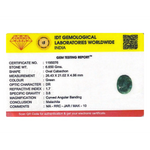 Malachite (Kidney Stone) - 33.25 Carat