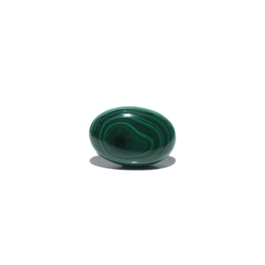Malachite (Kidney Stone) - 54.75 Carat - Pramogh