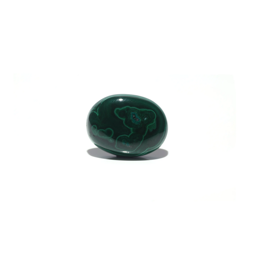 Malachite (Kidney Stone) - 39.05 Carat - Pramogh