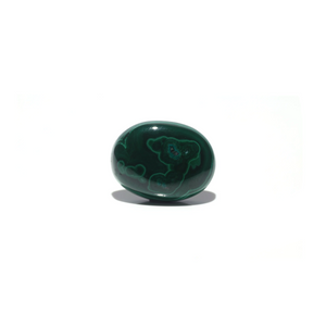 Malachite (Kidney Stone) - 39.05 Carat - Pramogh