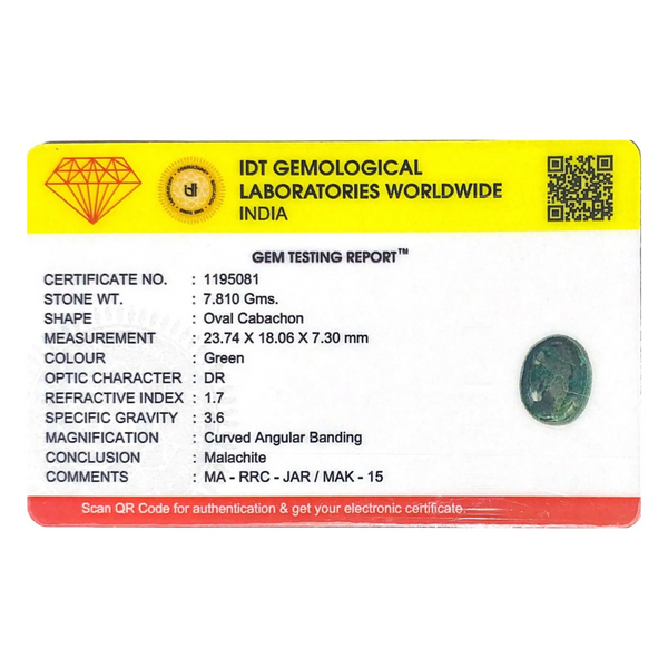 Malachite (Kidney Stone) - 39.05 Carat